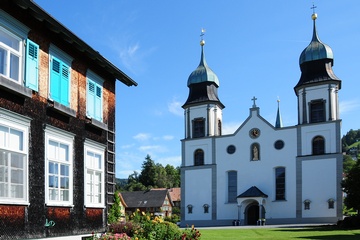 Host image