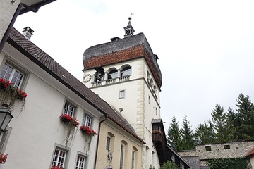 Host image